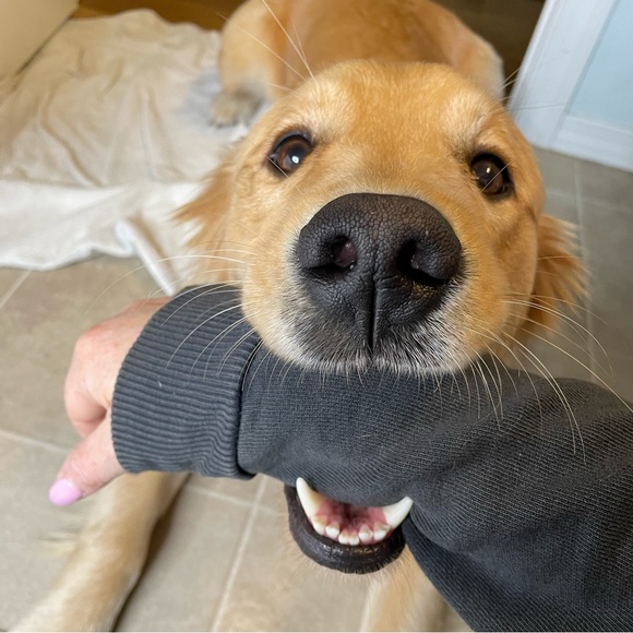 Meet your Posher, Adrienne - Picture 6 of 7